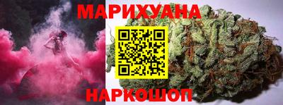 сатива Гатчина